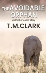 The Avoidable Orphan: a Child of Africa Story